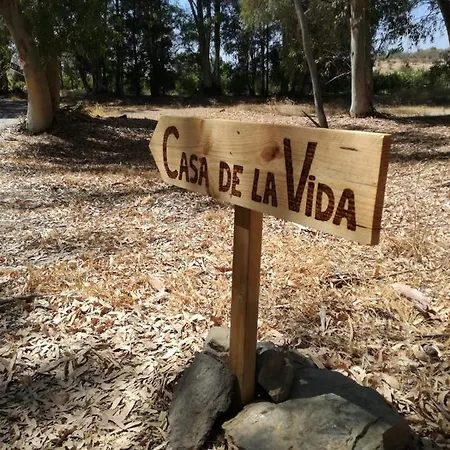 Casa De La Vida Málaga Bed and breakfast *